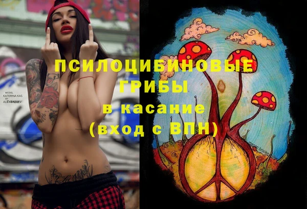 сатива Липки