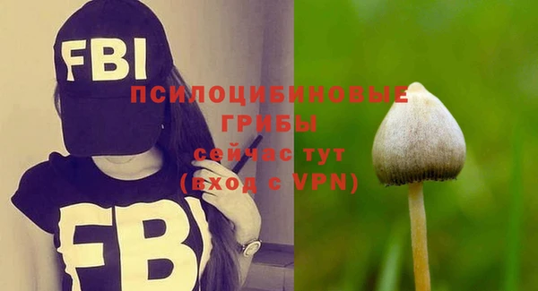mdpv Лихославль