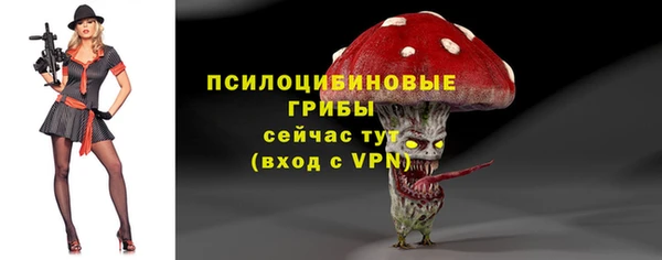 сатива Липки