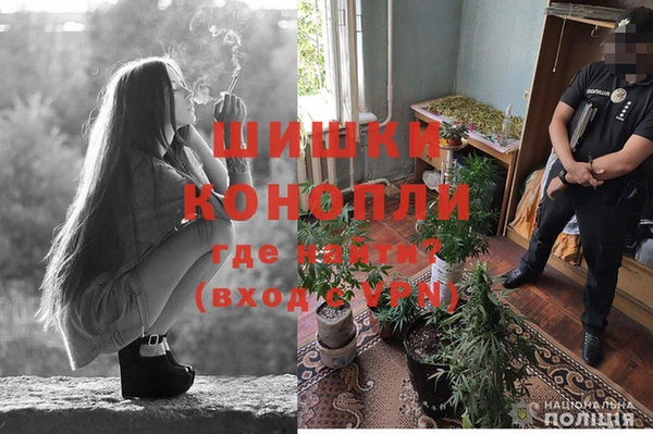 сатива Липки