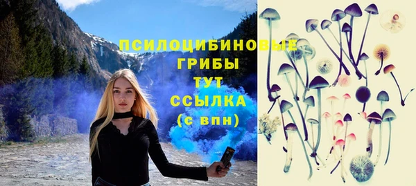 сатива Липки