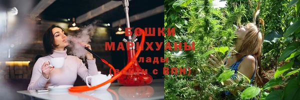 сатива Липки